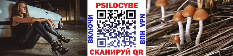 Купить закладки  Брюховецкая  Галлюциногенные грибы Psilocybine cubensis 