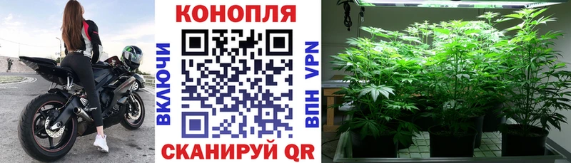 Марихуана VHQ Брюховецкая